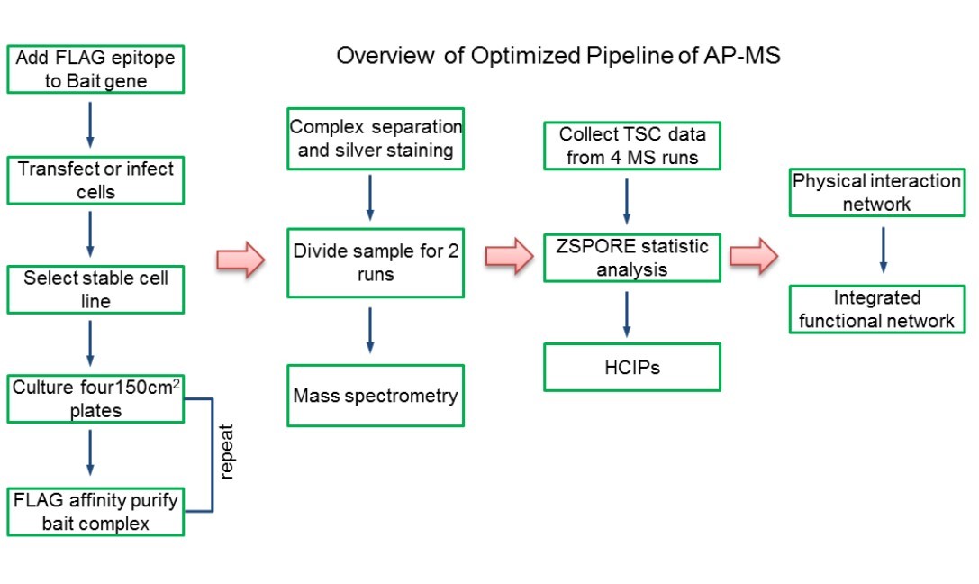 Overview of Optimized Pipeline of AP-MS.