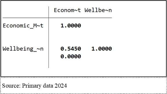 Correlations between economic masculinity support and the well-being of women
