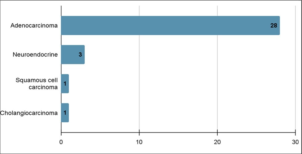 Number of pancreatic cancer cases based on pathologic subtypes (n=33)