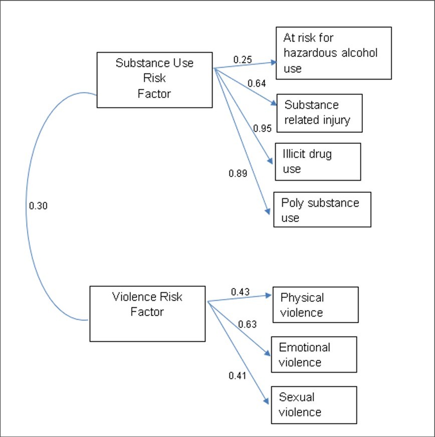 Figure 2. Structural Equation Model Two Factor Solution