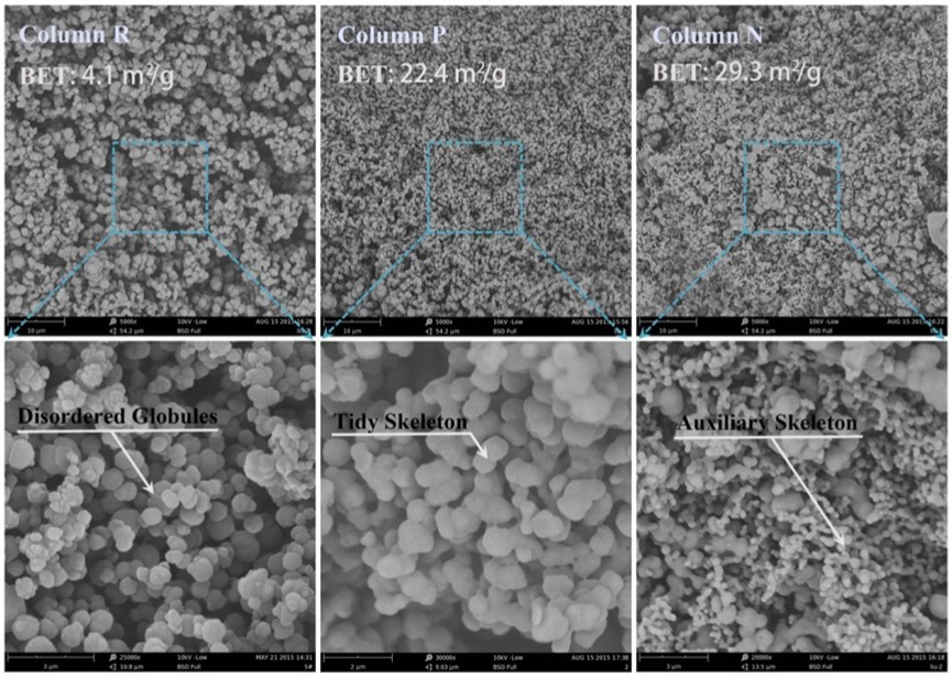 Polymer skeleton and specific surface area of monolithic columns with different amount of OVS tested with SEM and BET.