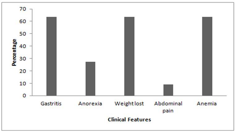 Clinical features associated with EBV infection associated with Gastric Carcinoma