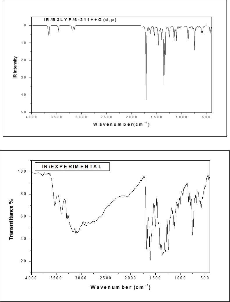 The combined theoretical and experimental FT-IR spectra of ICINH
