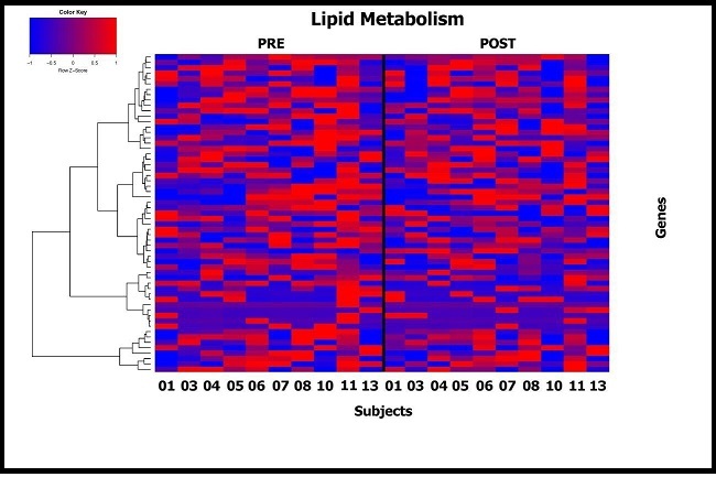 Supervised heat map showing difference in expression post and pre DHA administration for genes involved in lipid metabolism pathways (Molecular Signature Database). Subjects are shown on the x axis and individual genes on the y axis.