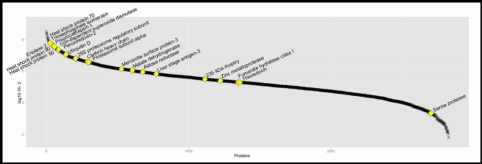 The dynamic range of the method based on protein abundance estimates, data points derived from the LC-UDMSE analysis. Y-axis shows log10 of Hi-3 matched peptides abundance for each protein. Yellow square shows the proteins cited along this work.
