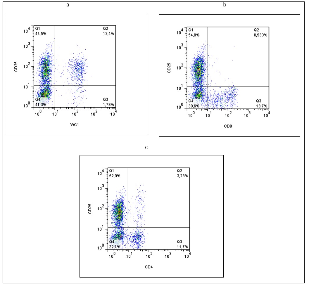 Representative graphs of flow cytometry evaluating the activation cellular marker CD25+ on different T cell subpopulations (WC1+ (a), CD4+ (b) and CD8+ (c)) in whole blood from one animal vaccinated with BCG after 24 h of culture with a CFPE from M. bovis.