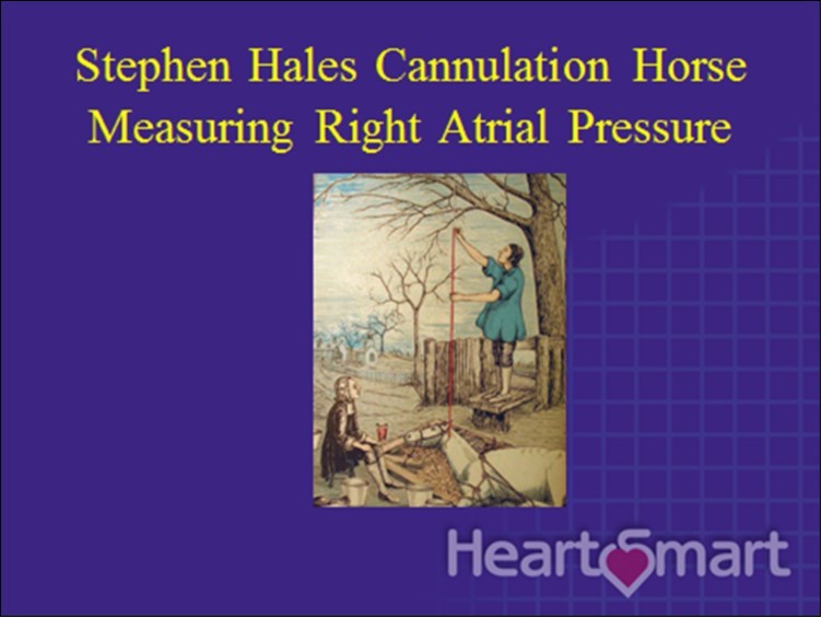 Hales Haemodynamic Experiment Copyright Medics Limited