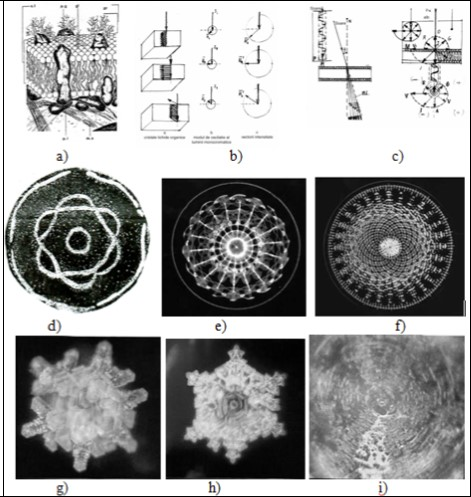 The human body complementary signifiers (memory support) of the sonorous stimuli: a) membranous liquid crystal structures; (b) the orientation of the liquid crystals conforming the (sonorous) stimuli characteristics (oscillation mode, intensity, etc.); c) optical activity of the liquid crystal structures (light refraction and rotatory magnetic dispersion) determined by piezoelectricity; d) the pattern of sound “AAA” put into evidence by Ernest Chladni, resonating upon a fine sand powder, placed on a very thin metallic plate; e,f) the patterns of musical sounds upon the surface of the water, realized by Alexander Lauterwasser http://www.wasser; similarly it happens in the case of the membranous liquid crystal structure and its (re)configuration under the influence of different stimuli (sonorous included); b) the “memory of the water”, stimulated by the influence of different sonorous emissions, is proved by the well known experiments of Masaru Emoto 2001: the images of the some frozen drops of water, generated by water’s resonance with a Tibetan Sutra, Beethoven’s Pastoral, Heavy Metal Music.