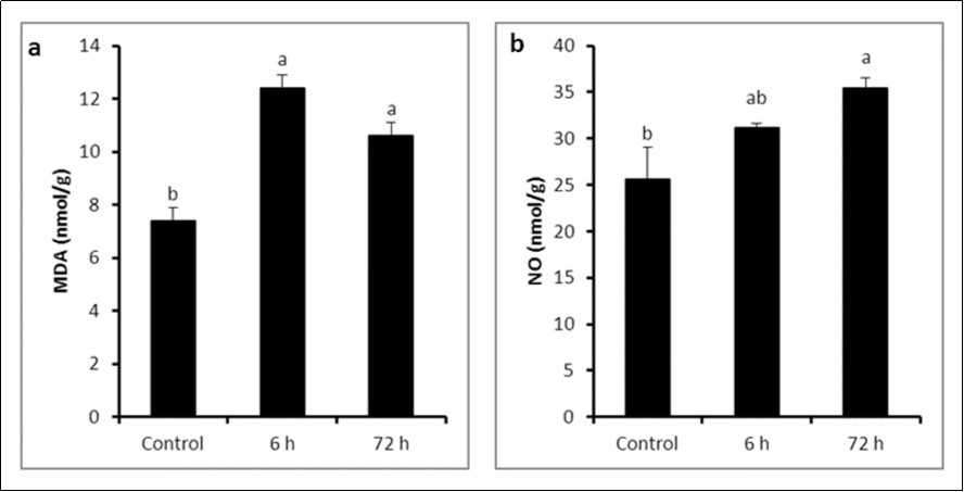 a MDA concentration and b) NO concentration in control and LPS-treated groups (4 mg/kg BW ip). Results are expressed as mean ± SEM. The different letters are statistically significant (P ≤ 0.05).