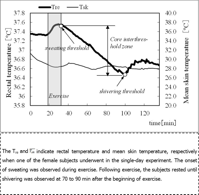 An example of changes in rectal temperature and mean skin temperature during the experiment.