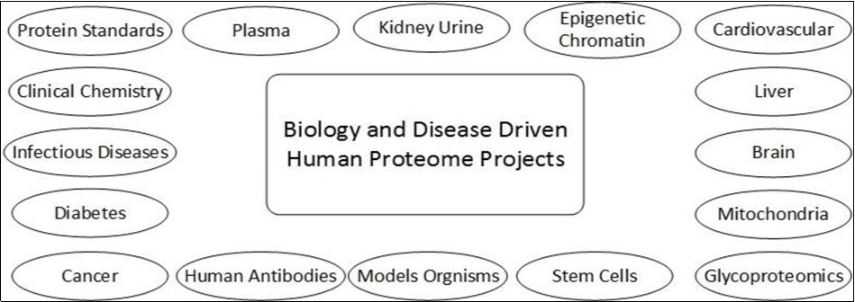Components of B/D-HPPO describing involvement of different samples in human proteome project