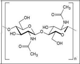 Chemical structure of chitin.