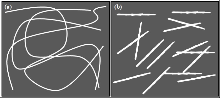 Schematic illustration of morphological difference of a) CNF and b) CNW.