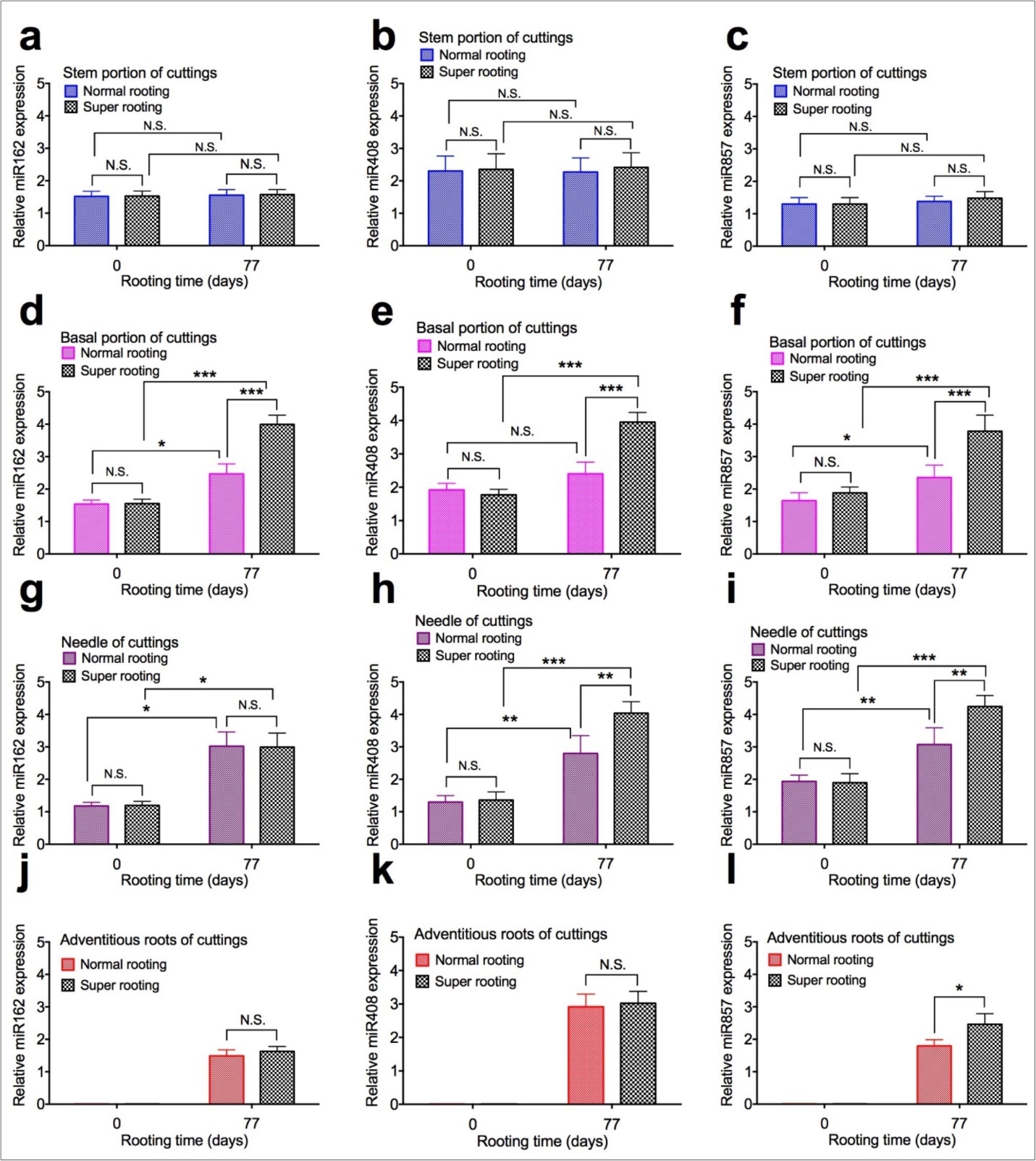 Expression of microRNAs in shoot cuttings of T. chinensis var. mairei at 0 and 77 days after planting. MicroRNA162 (Figs. 5a, 5d, 5g, and 5j), miR408 (Figs. 5b, 5e, 5h, and 5k), and miR857 (Figs. 5c, 5f, 5i, and 5l) in stem portion, basal portion, needles, and adventitious roots of rooted cuttings of T. chinensis var. mairei at 0 and 77 days after planting. Experiment was repeated five times. The statistically significant difference between groups was determined by one-way ANOVA. Data are presented as means of five independent experiments. Error bars represent standard error. The asterisk indicates significant differences compared to the rooted cuttings with low rate of root formation, as assessed by a t-test. *P<0.05, **P<0.01, ***P<0.001, significant relative to Phase I. N.S., no statistics significance.
