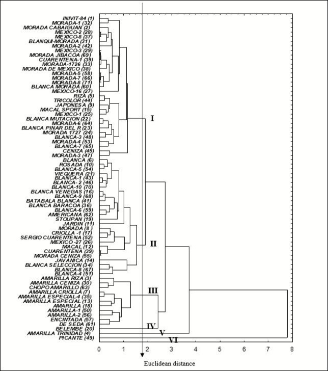 Dendrogram generated by cluster analysis of the integrated data of cytogenetic, morphoagronomic and isoenzymatic markers in the Cuban collection of genus Xanthosoma with the UPGMA algorithm and the Euclidean distance . Note the formation of six variability groups