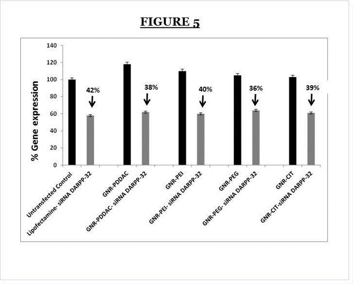 DARPP-32 gene silencing efficiency of the different nanoformulations of GNR ( i.e GNR- PDDAC, GNR-PEI, GNR-PEG and GNR-CIT respectively) and DARPP32siRNA complexes as compared to the transfection efficiency of Lipofectamine- DARPP-32 siRNA nanoplex in DAN cells.. DAN (1 x 105cells/ml) were treated in vitro with GNR-DARPP-32siRNA nanoplexes, and the commercially available transfection reagent Lipofectamine (Invitrogen) for 48 hr. RNA was extracted, reverse transcribed, cDNA amplified and the DARPP-32 gene expression was determined 48h hr post transfection by real time quantitative PCR. Relative expression of mRNA species was calculated using the comparativeCT method. Data are the mean ± SD of 3 separate experiments done in triplicate. Our results show a ~40% suppression in DARPP-32 gene expression in DAN cells that were transfected with the GNR-DARPP-32 siRNA nanoplexes. No significant differences were observed in DARPP-32 gene silencing between the various GNR nanoformulations and the transfection efficiency was similar to that of the commercially available transfection reagent lipofectamine.