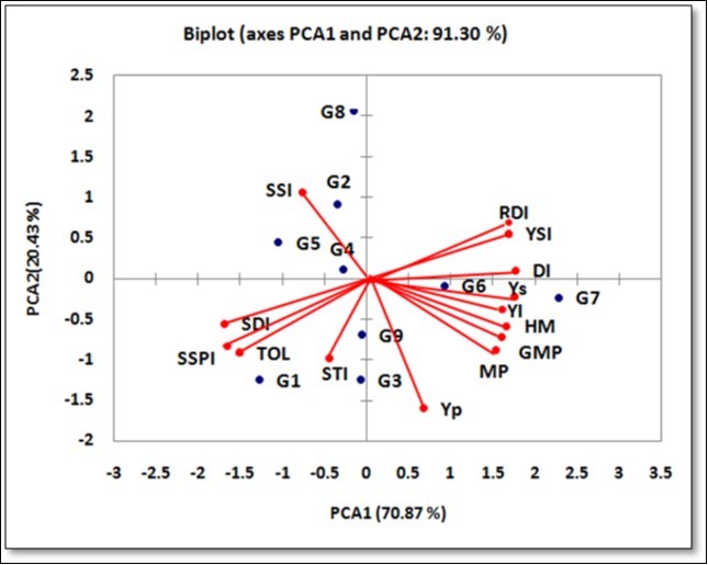 Biplot of the first two principal component axes for nine sugar beet genotypes for the severe stress conditions (control-50% analysis)