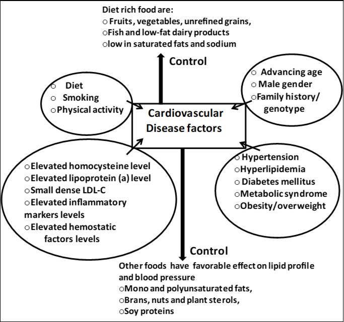 Some nutraceutial sources from food products or its ingredient for reduction of cardiovascular disease with its possible risk factors 14