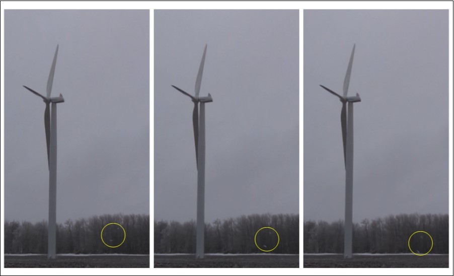 Time Lapse – Circled Ice Falling from Stopped Turbine in Bruce County