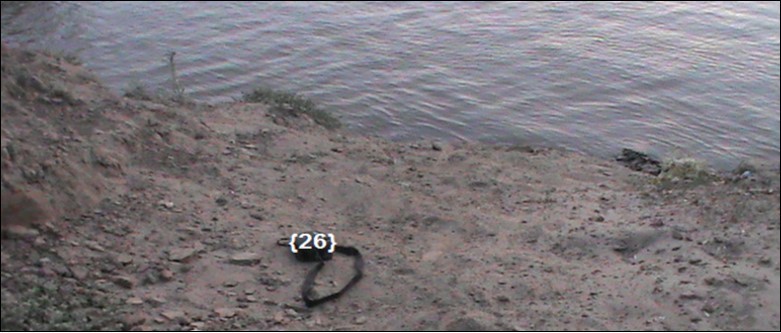 Water turbidity, during the rainy season. Blue Nile River (2012)