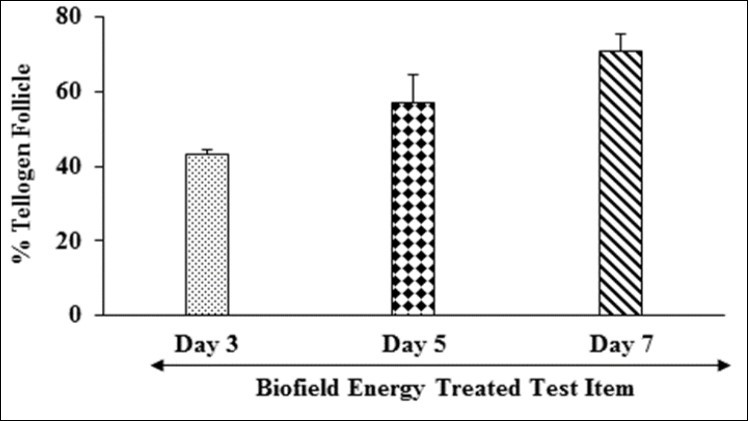 Effect of Biofield Energy Treatment on vibrissae hair follicle organ culture cells for the assessment of hair follicle growth and development in William’s Medium E in terms of telogen follicles of Biofield Treated test item (William’s Medium E).