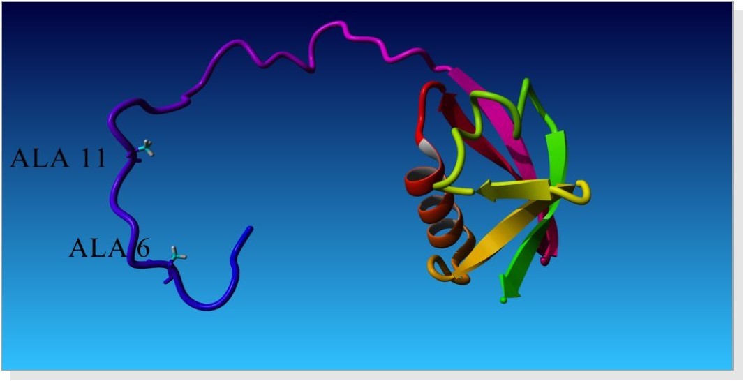 (PDB structure for Mutated UBL domain)