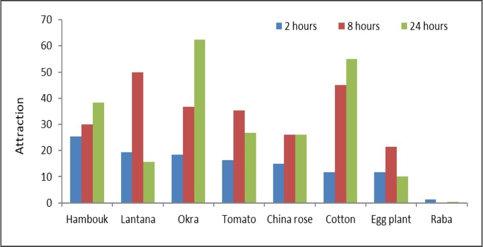 Attraction of the 1st nymphal instars of cotton mealybug to selected plant species, compared with Chinese rose (control), at different interval time after release - Khartoum- Sudan (2018).