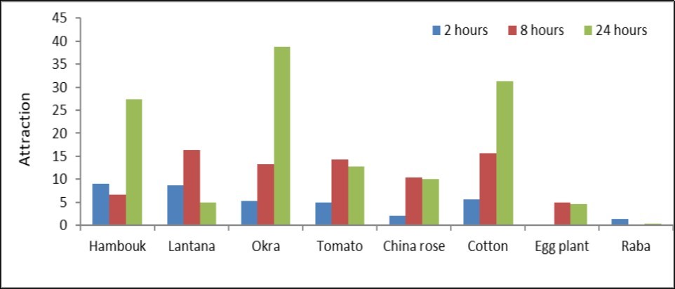 Attraction of the 2nd_ nymphal instar of cotton mealybug to selected plant species, compared with Chinese rose (control), at different interval time after release- Khartoum- Sudan (2018).