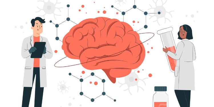 Article: Effects of a Novelty Virtual Interactive Brain Atlas on Student Perception of Neuroanatomy
