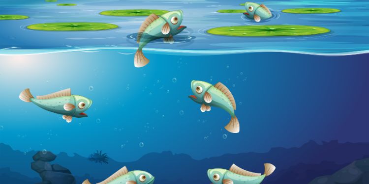 Journal of Zoological Research - Freshwater Fish