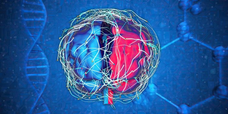 Article: A Unifying Theory of Alzheimer’s and Other Neurodegenerative Diseases